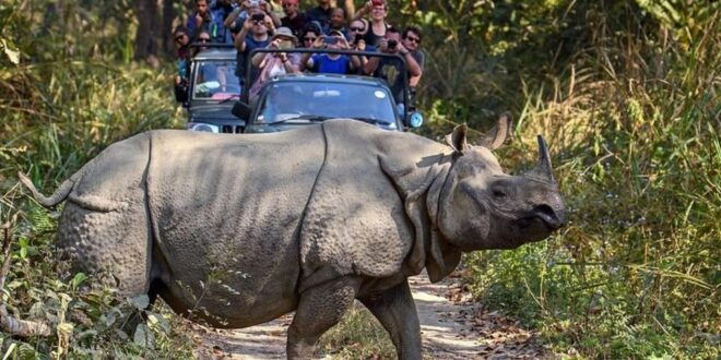 From Pokhara: 3 Days Luxurious Trip to Chitwan With Flights - Wildlife Encounters