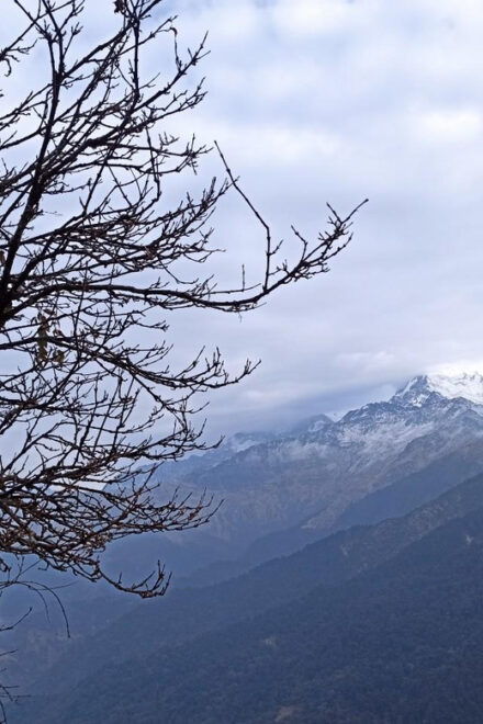 From Pokhara: 3 Days Poon Hill Short Trek - Inclusions for Trek