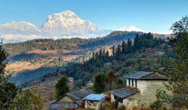 From Pokhara: 3 Night 4 Days Mohare Danda & Poon Hill Trek - Trekking Experience