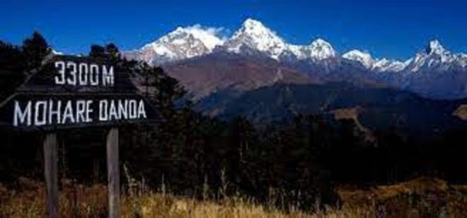 From Pokhara: 3 Night 4 Days Mohare Danda & Poon Hill Trek - Included Services