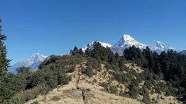 From Pokhara: 3 Night 4 Days Mohare Danda & Poon Hill Trek - Break Down