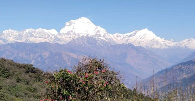 From Pokhara: 4-Day Annapurna and Poon Hill Himalayan Trek - Booking Information