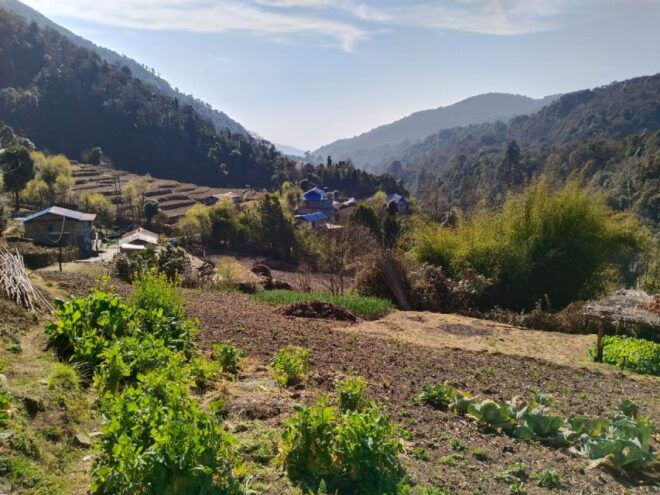 From Pokhara: 4-Day Annapurna and Poon Hill Himalayan Trek - Itinerary