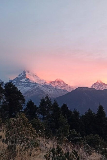 From Pokhara: 4 Day Annapurna Poon Hill With Ghandruk Trek - Scenic Highlights