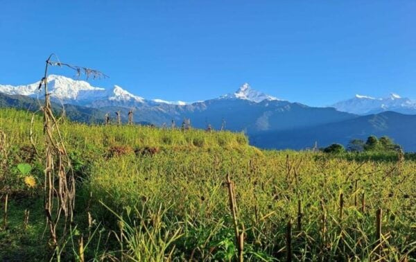 From Pokhara : 4 Day Jomsom , Muktinath Trek & Jeep Tour - Break Down