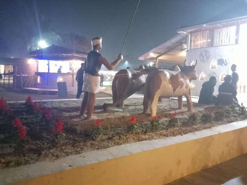 From Pokhara: 4-Day Mardi Himal Trek and 2-Day Chitwan - Who Would Love This Experience?