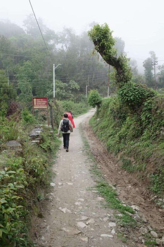 from Pokhara: 4-Day Mardi Himal Trek with Guide - An In-Depth Look at the 4-Day Mardi Himal Trek