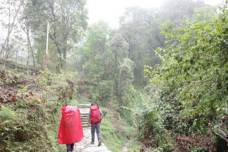 from Pokhara: 4-Day Mardi Himal Trek with Guide - Exploring the 4-Day Mardi Himal Trek from Pokhara: An Authentic Himalayan Adventure