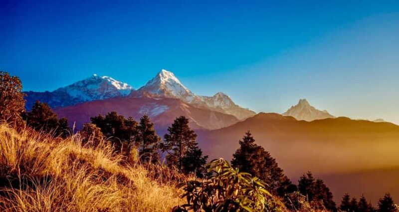 From Pokhara: 4 Day Poon Hill Trek with Guide - Good To Know