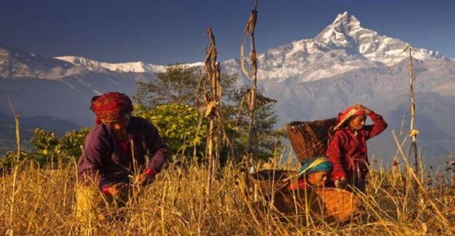 From Pokhara: 4-Day Private Poon Hill Trek With Guide - Questions You May Have