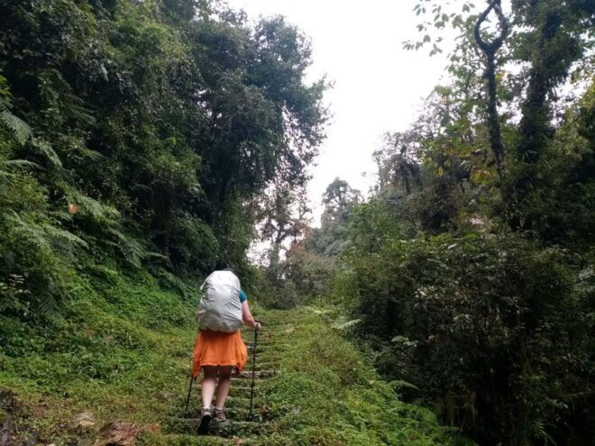 From Pokhara :4 Days Group Budget Poon Hill Trek - The Sum Up
