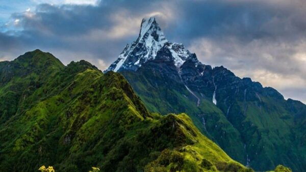 From Pokhara: 4 Days Mardi Himal Base Camp Trek - Local Culture and Experiences