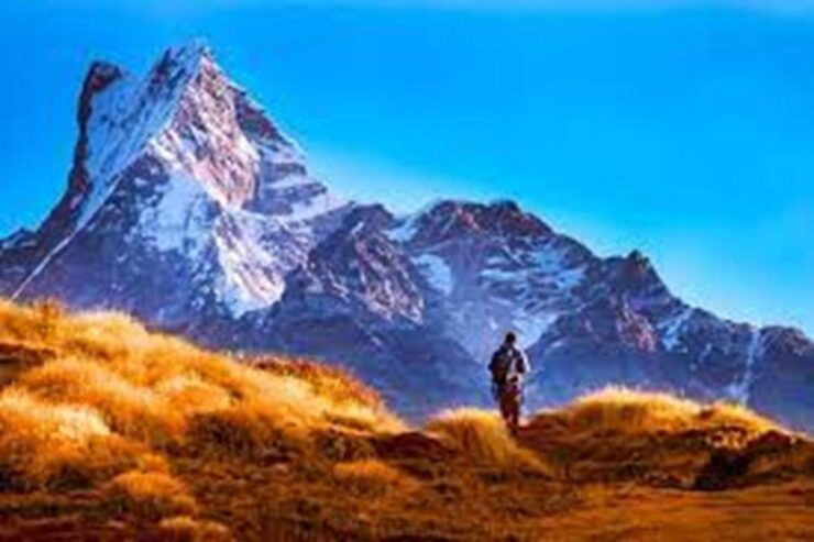 From Pokhara: 4 Days Mardi Himal Trek - Trek Overview