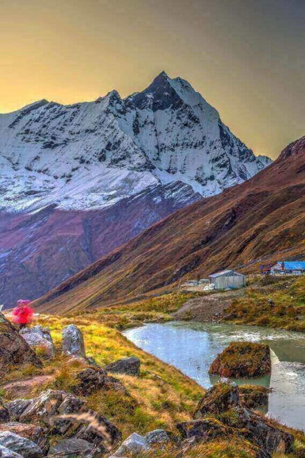 From Pokhara: 5- Day Annapurna Base Camp Trek - Itinerary Breakdown