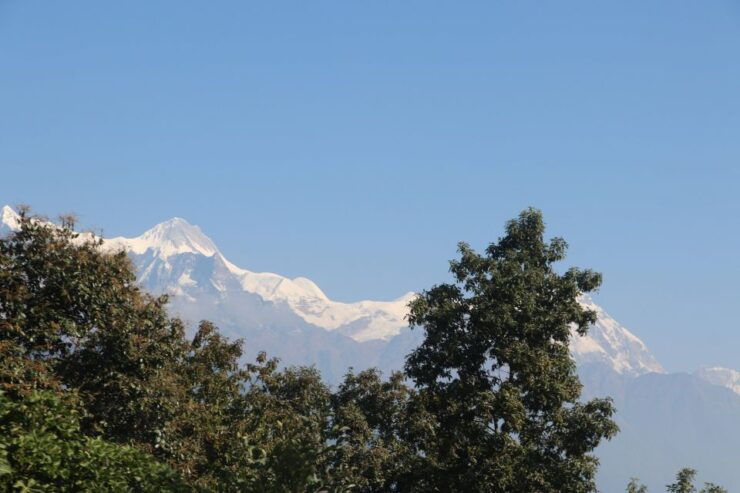 From Pokhara: 5-Day Annapurna Base Camp Trek - Highlights of the Trek
