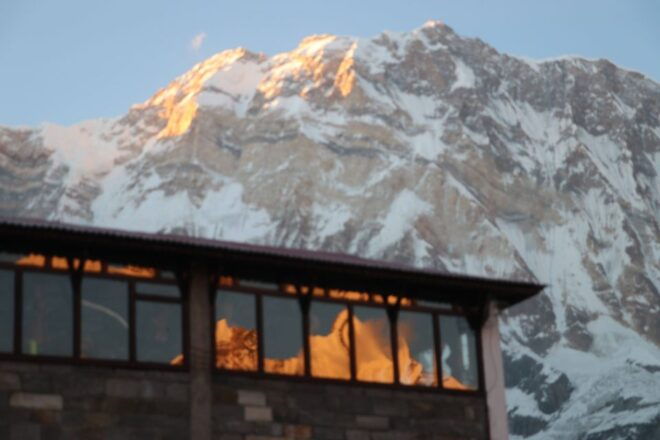 From Pokhara: 5-Day Annapurna Base Camp Trek - Inclusions and Accommodations