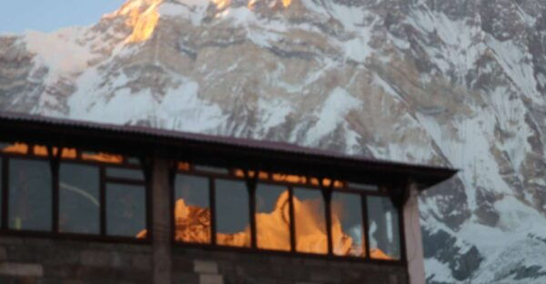 From Pokhara: 5-Day Annapurna Base Camp Trek - Common Questions