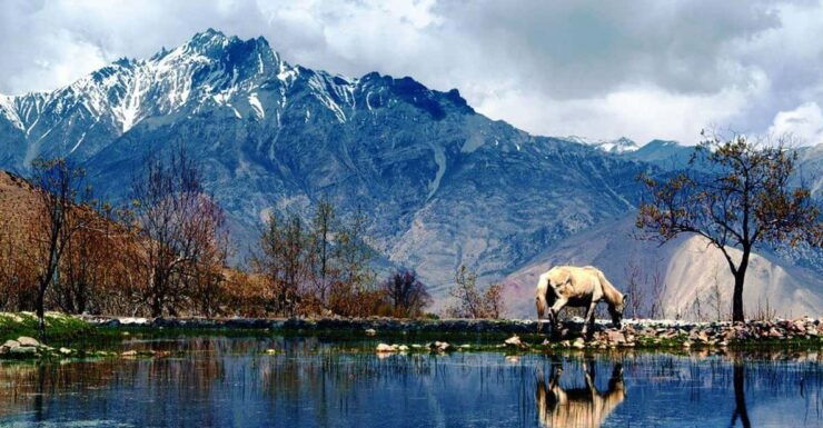 From Pokhara: 5 Day Lower Mustang & Poon Hill 4WD Jeep Tour - Highlights of the Journey