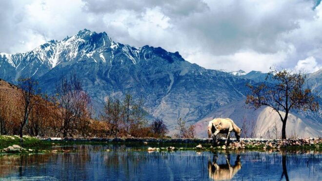 From Pokhara: 5 Day Lower Mustang & Poon Hill 4WD Jeep Tour - Essential Packing List