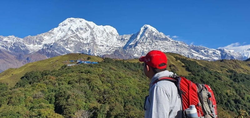 From Pokhara: 5-Day Mardi Himal Base Camp Guided Trekking - FAQ