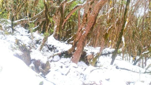 From Pokhara: 5 Day Mardi Himal Base Camp Premium Trek - Trekking Considerations