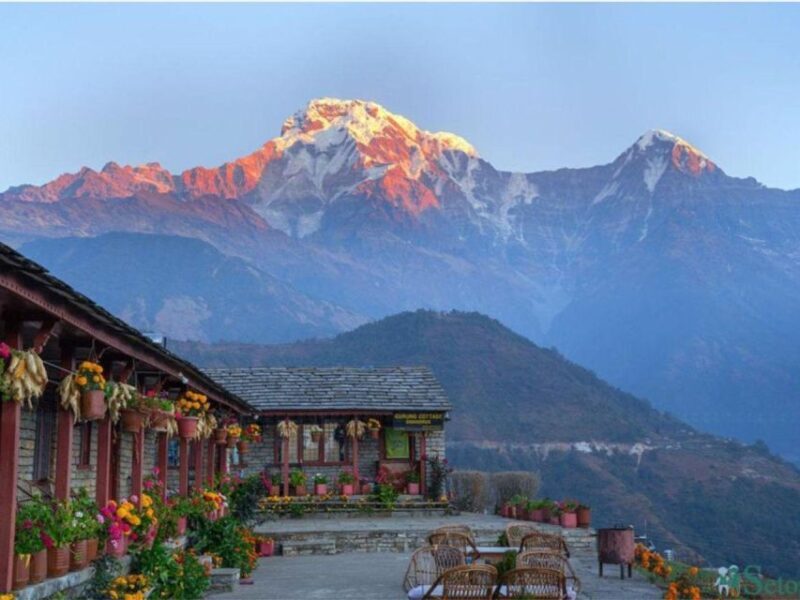 From Pokhara: 5-Day Mardi Himal Base Camp Trek - Authentic Experiences and Traveler Insights
