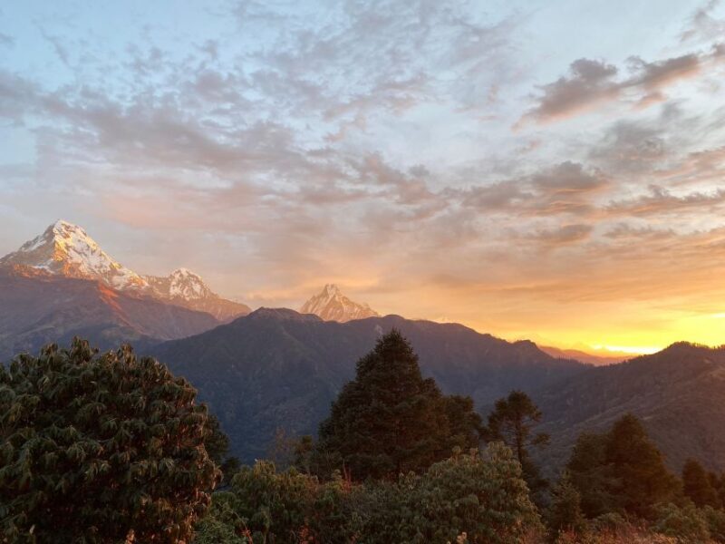 From Pokhara: 5-Day Mardi Himal Base Camp Trek - Final Thoughts: Is This Trek Right for You?