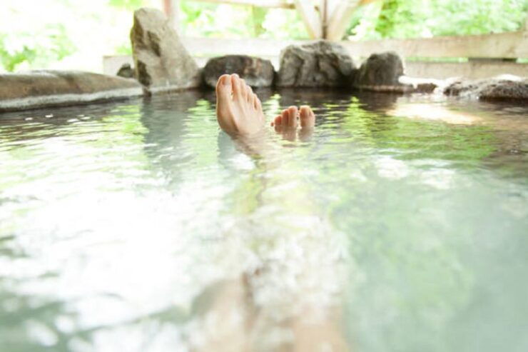 From Pokhara: 5-Day Mukhtinath Trek With Hot Spring - Activity Details