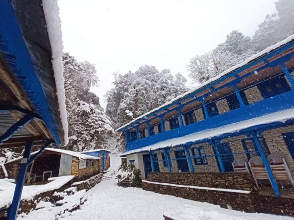 From Pokhara: 5 Day Poon Hill,Mulde Hill, Dobato Guided Trek - Break Down