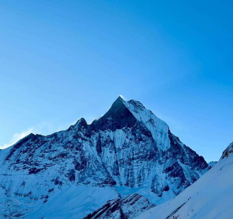 From Pokhara: 7-Day Annapurna Base Camp and Chitwan Tour - An In-Depth Look at the 7-Day Itinerary