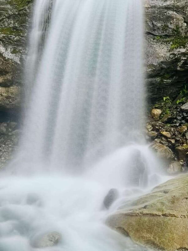 From Pokhara: 7-Day Annapurna Base Camp and Chitwan Tour - The Sum Up