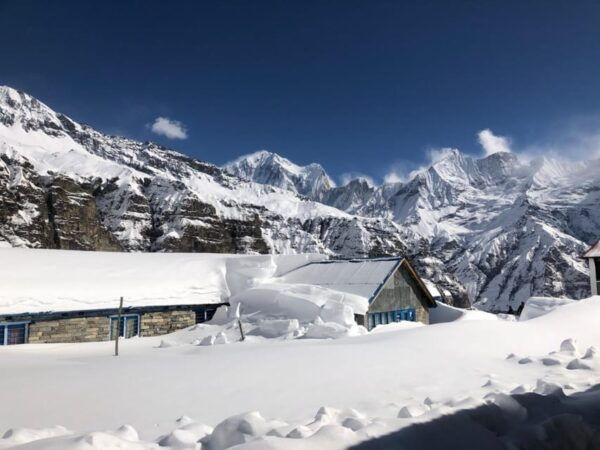 From Pokhara: 7 Day Annapurna Base Camp Private Trek - Break Down