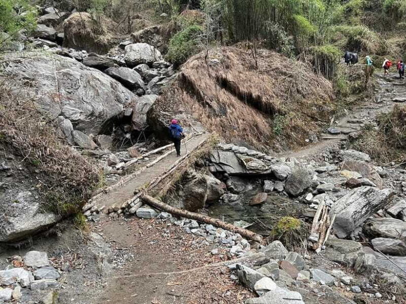 From Pokhara: 7-Day Annapurna Base Camp Trek - Final Verdict