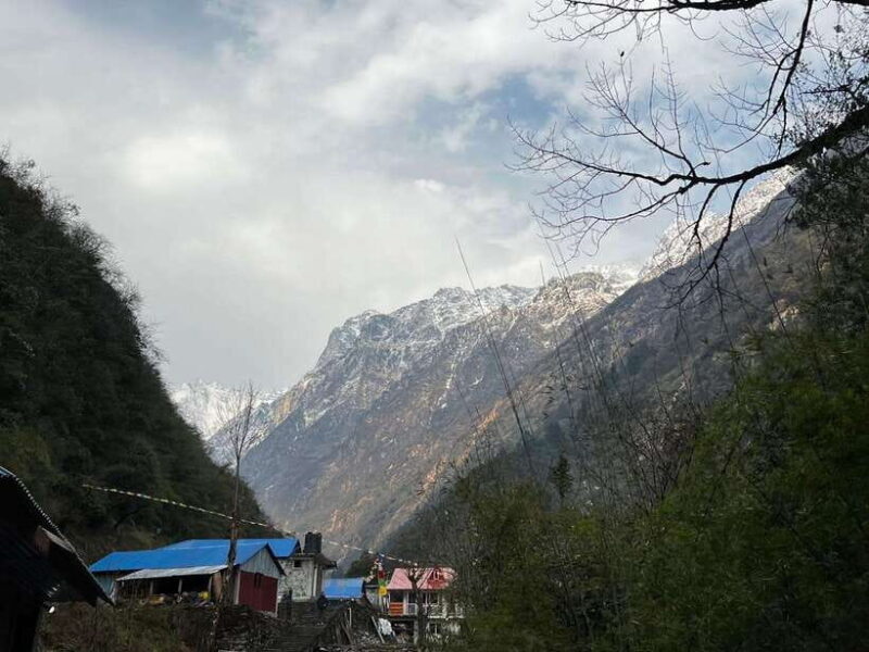 From Pokhara: 7-Day Annapurna Base Camp Trek - Why This Trek Offers Great Value