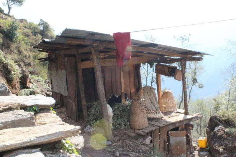 from Pokhara: 7-Day Annapurna Base Camp Trek - Who Will This Trek Suit?