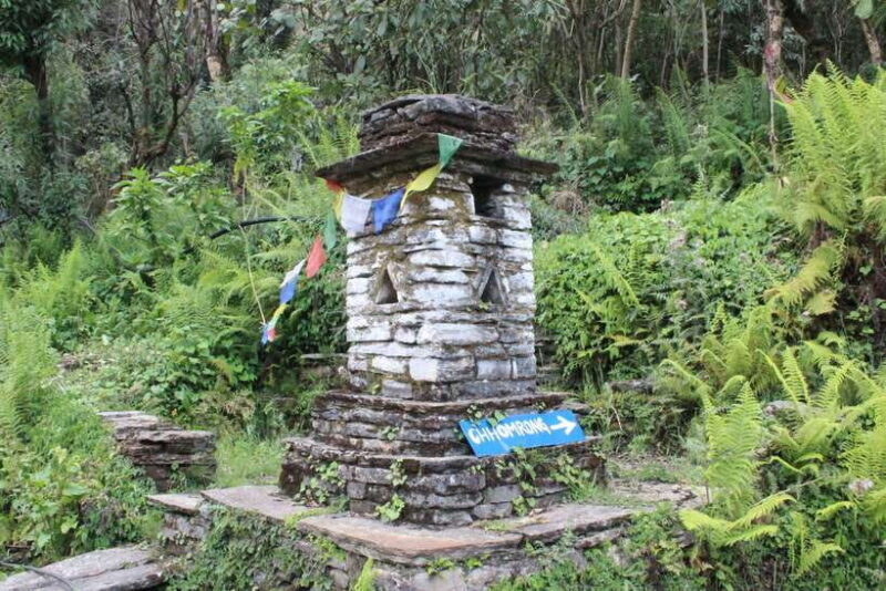 from Pokhara: 7-Day Annapurna Base Camp Trek - The Sum Up