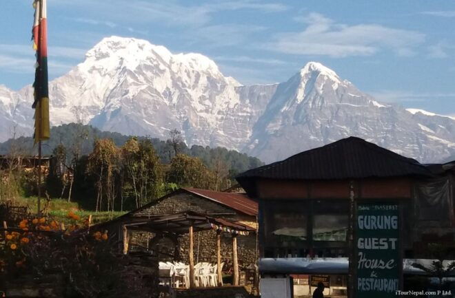 From Pokhara: 7-Day Mardi Himal Base Camp Trek - Detailed Trek Itinerary
