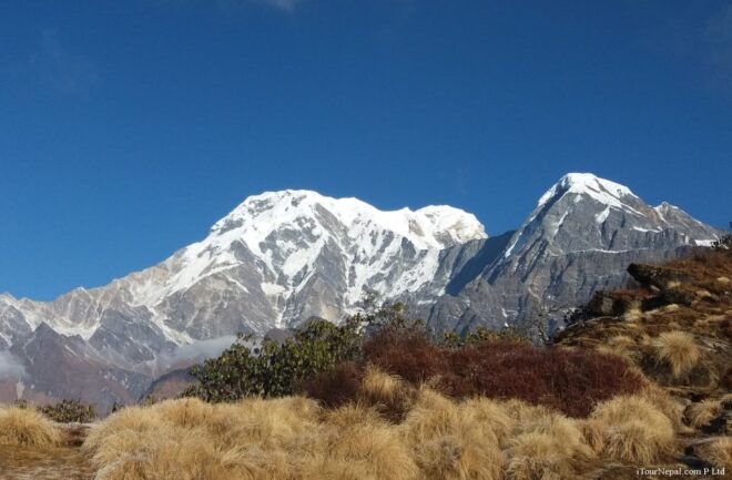 From Pokhara: 7-Day Mardi Himal Base Camp Trek - Return Journey and Highlights