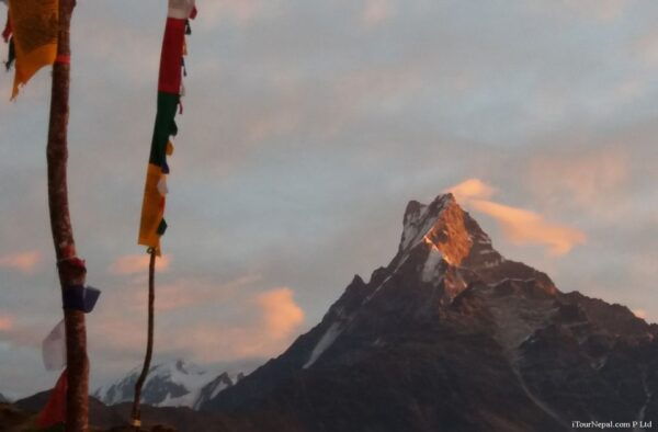 From Pokhara: 7-Day Mardi Himal Base Camp Trek - Common Questions