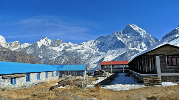 From Pokhara: 7-Day Scenic Annapurna Base Camp Trek - Questions You May Have