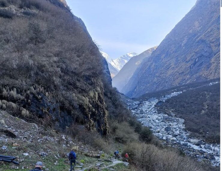 From Pokhara: 7-Days Annapurna Base Camp Trek With Meals - Meal Inclusions & Dietary Options
