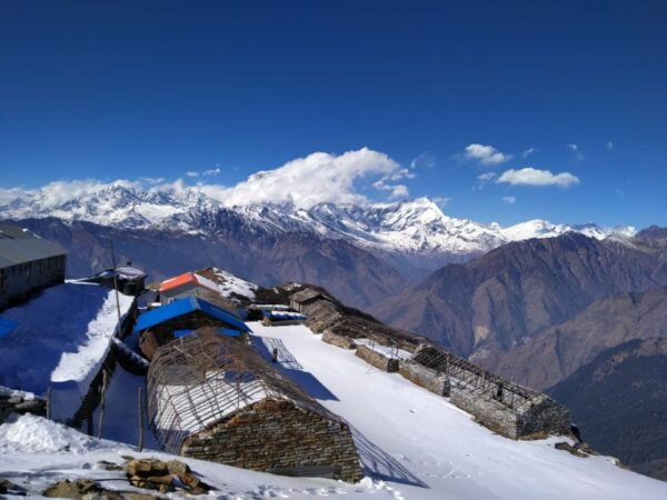 From Pokhara: 8 Nights 9 Days Khopra and Mardi Himal Trek - Common Questions