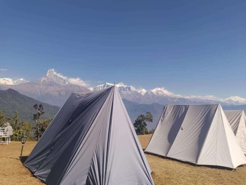 From Pokhara: A 7-Day Trek to the Heart of the Himalayas - The Value of This Trek