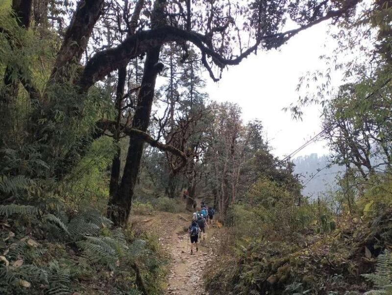 From Pokhara: A 7-Day Trek to the Heart of the Himalayas - FAQ