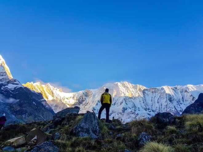 From Pokhara: Annapurna Base Camp Private Trekking - 5 Days - Pricing and Booking