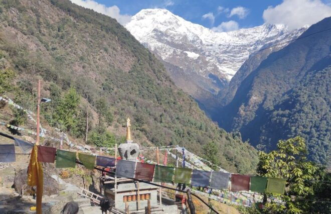 From Pokhara: Annapurna Base Camp Trek - Accommodation and Meals