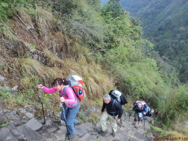 From Pokhara: Annapurna Base Camp Trek - Best Time to Trek