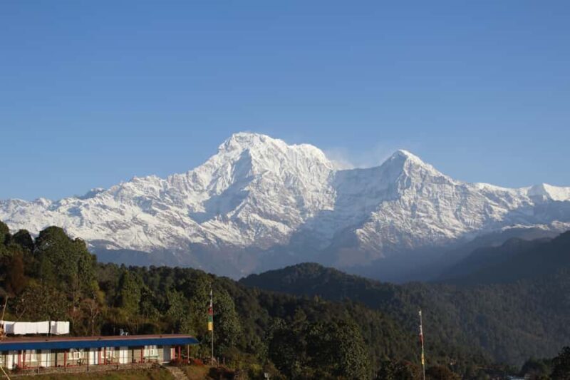 From Pokhara: Australian Camp and Dhampus Guided Day Hike - What to Expect on Your Day Hike