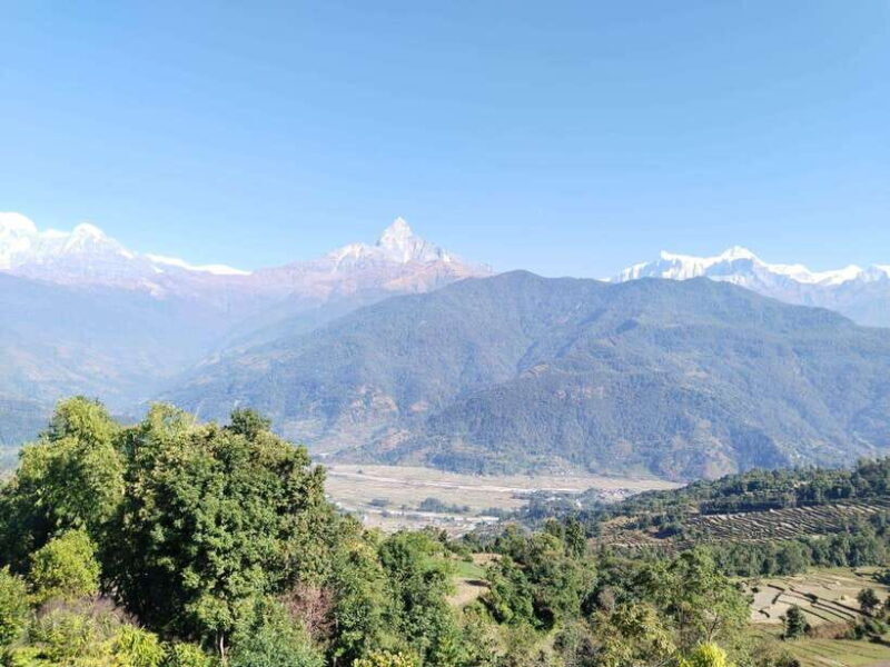 From Pokhara: Australian Camp and Dhampus Hiking Tour - From Pokhara: Australian Camp and Dhampus Hiking Tour — A Detailed Review