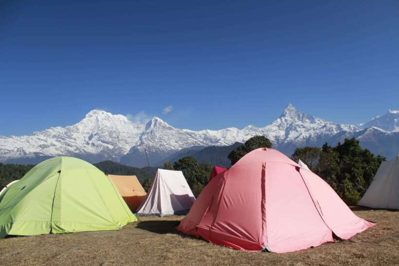 From Pokhara: Australian Camp and Dhampus Hiking Tour - Who Will Love This Tour